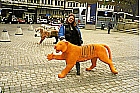 Tiger vor Parlament