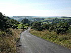 Landschaft in Somerset
