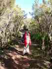 Wanderweg im Garajonay Nationalpark