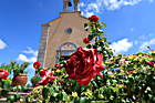 Rose vor Kapelle